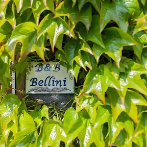 https://bb-bellini.sicilyhotelsitaly.net