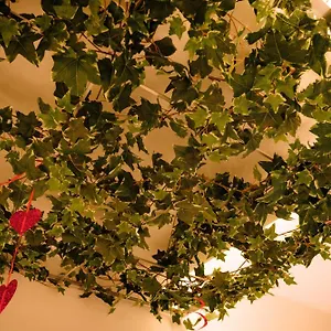https://balai-suite.in-sardinia.net